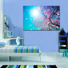 Sakura cherry blossom pictures framed art